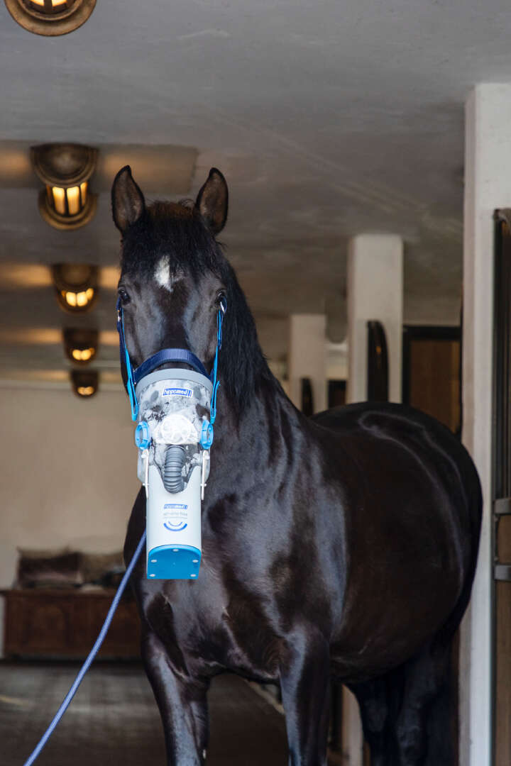 hippomed Akku-Ultraschall-Inhalator für Pferde AirOne Flex